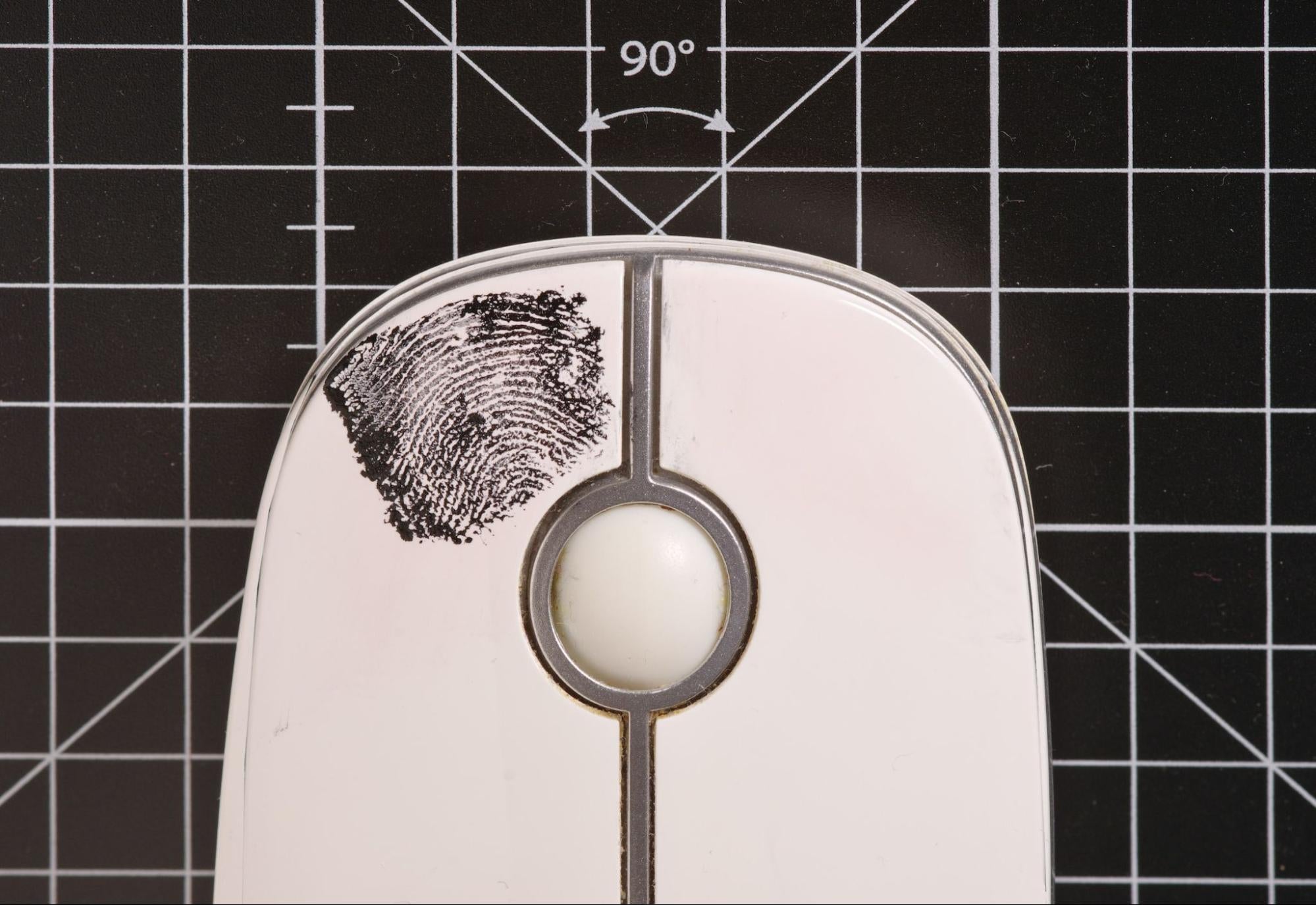 History of Fingerprint Identification: 4 Takeaways | Biometrics – Nexus ...